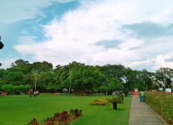 Terraced Flower Garden in Chandigarh