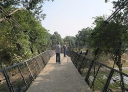 Japanese Garden in Delhi