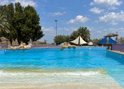UAE Holiday Tour Package from India
