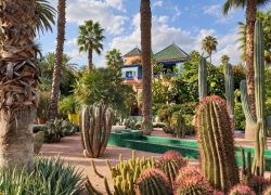 Majorelle Garden in Marrakesh
