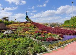 Tropical Butterfly Garden in Konya