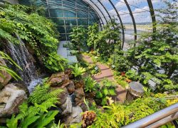 Singapore Holiday Tour Package from India