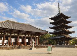 Nara Park