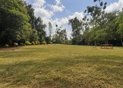 Kenya Holiday Tour Package from India