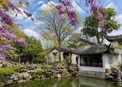 Lingering Garden