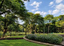 Ramna Park in Dhaka
