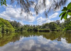 Haller Park, Malindi - Places to visit in Malindi, Kenya