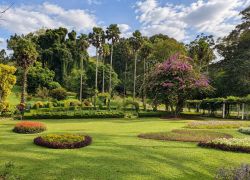 Royal Botanical Gardens in Pinnawala