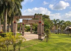 Bridge Park in Tanuku