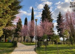 Grand Park in Tirana