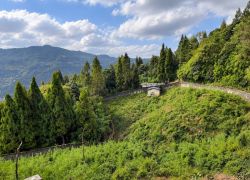 Himalayan Zoological park Zoo, Gangtok - Places to visit in Gangtok
