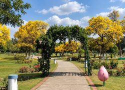 Chandigarh Rose Garden in Chandigarh