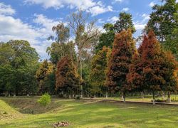 Jokai Botanical Garden in Dibrugarh