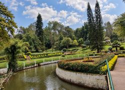 Sims Park