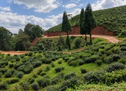 West Bengal Tour Package