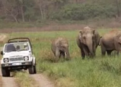 Jeep Safari in Jim Corbett