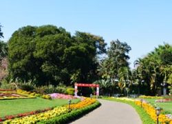 Horticultural Garden