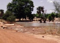 Bao Bolong Wetland Reserve in Baddibu