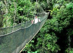 Kinabalu National Park