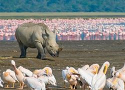 Lake Nakuru National Park