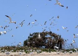 Tanji River (Karinti) Bird Reserve in Karinti