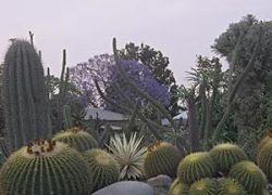 Botanical Garden