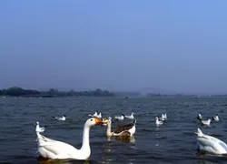 The Sukhna Lake