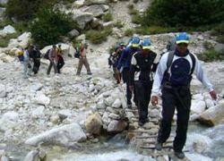 Trek to Tendong Hill