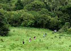 Trekking in Coorg