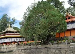 Norbulingka