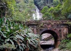 Tijuca National Park in Rio De Janeiro
