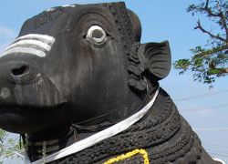 Bull Temple in Bangalore