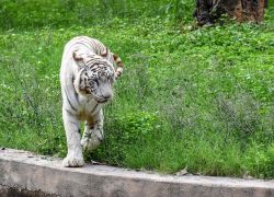Zoological Park
