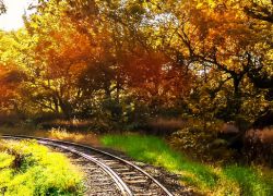 Sanjay Gandhi National Park