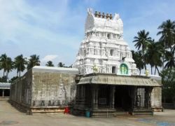 Sri Veda Narayanaswami Temple in Tirupati