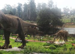 Black Thunder Amusement Park