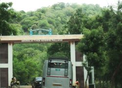 Anamalai Wildlife Sanctuary