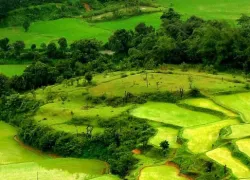 Coorg Hill Station in Coorg