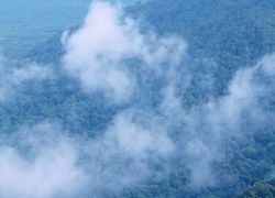 Agumbe Hill in Shimoga