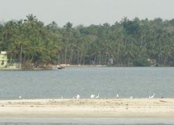 Vadakara in Kozhikode Calicut