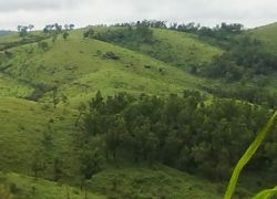 Idukki Hills in Idukki