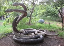 Snake Park in Chennai