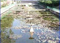 Mandore Garden in Jaipur