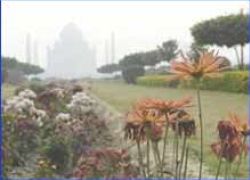 Mehtab Bagh Agra in Agra