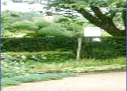 Phool Bagh in Kanpur