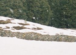 Water Skiing in Auli in Auli