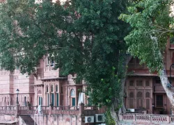 Gajner Wildlife Sanctuary