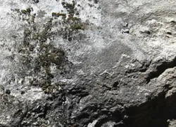 Rock Climbing In Manali