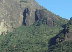 Trekking in Agasthyakoodam Peak in Thiruvananthapuram