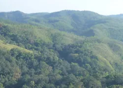 Trekking in Coorg in Coorg